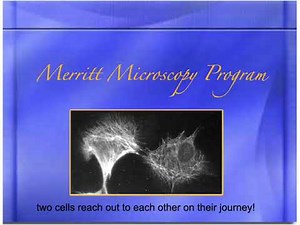 L1 Types of Microscopy