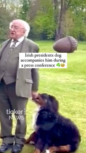 193K views · 1.9K reactions | How adorable is this?!梁☘️ (video by @tickernewsco) Follow @IRISHEXPLORER.IE if you LOVE IRELAND!!☘️ #funnyvideos #reels #instagramreels #ireland #irish #ireland #irelandtravel #viral #irishexplorer #animalsofinstagram | Irish Explorer | Facebook