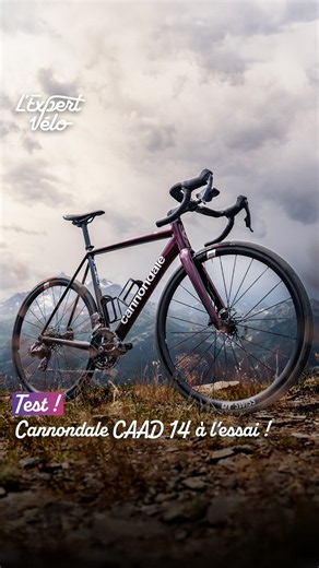 On a testé un vélo en aluminium ! Test du Cannondale Caad 14 2 par L'Expert Vélo.