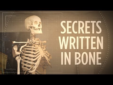 Whose Bones Are These? Investigating A Classroom Skeleton