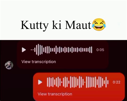 Funny Voice Message Memes That Make You Laugh