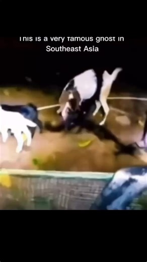 Haunted House || Ghost Caught On Camera 😨☠️.... #horror #story #ghost #movie #conjuring #blackmagic | Ishani prank