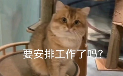 【邓峰12.12号dy直播】在役选手小呱，弹药充足！退役选手，老当益壮！