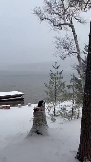 Winter is coming... | The Birches