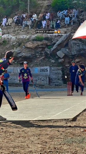 Prince Habib🔥🏏👈 #reels #fyp #viral #BPL #Sports #cricket #highlights #Kohistan | Naseeb clicks