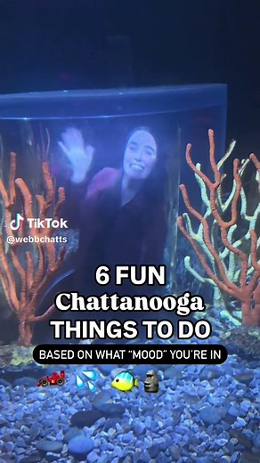 6 Must-Do Chattanooga Activities This Summer