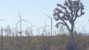 Windmills turbine rotating, wind farm or power plant, green renewable energy generators, industrial field in California, Mojave desert, USA. Electricity generation on windfarm. Yucca joshua tree.