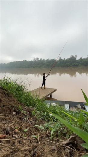 harini rajin sikit nak jalan jalan kawasan kampung, jarang sangat mancing sungai pahang ni, selalu surf tepi pantai hari i nak bawak tengok suasana tepi sungai pahang, suasana harini tepi sungai pahang, santai dan tenang, sambil training pendulum surf, kawasan agak sempit dan arus laju, kedalaman kawasan ni hampir 10kaki lebih.