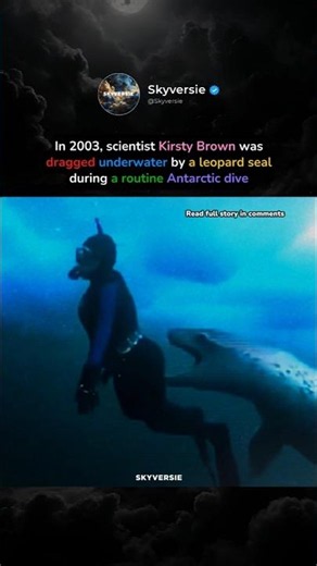 Kirsty Brown: The Scientist Killed by a Leopard Seal