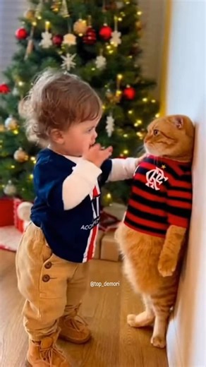 Paulo Roberto | Top on Instagram: "🎥🐱⚽️ “Só porque tá com a camisa do Flamengo, acha que é craque? Aqui é PSG, muleque! Aprende a bater pênalti primeiro!” 😂💥 🔥 Quando o Mengão perde pro PSG até o gato vira meme! ⚽️ #flamengo #humor #meme #gatos #PSG #futebol #FlamengoVSPSG #GatoCraque #zoeira #HumorFutebol #FutebolÉResenha #FlamenguistaSofredor #MemeDoDia #FutebolEngraçado #CraqueOuGato"