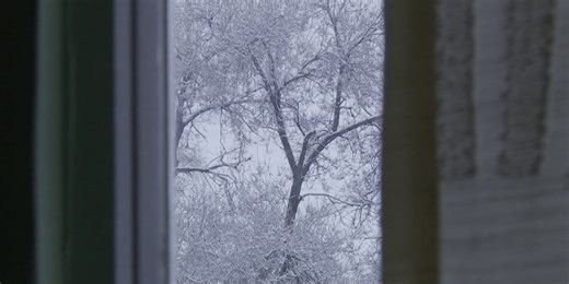 Record snow fall in Grand Junction; some residents swap the cold for coffee
