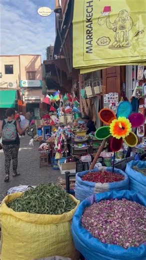 The Magic of Morocco 🇲🇦 From Deserts to Blue Cities