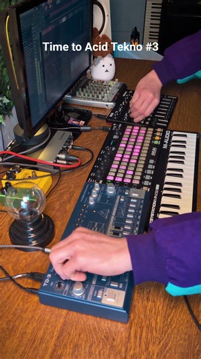 Time to Acid Tekno 3 🔥 #303 #techno #tekno #tribe #acid