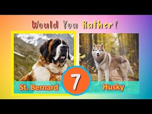 Would You Rather? 🐶 Doggy Dog Edition | Dog Workout Game | Brain Break | PhonicsMan Fitness