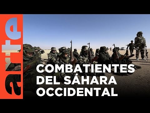 Western Sahara: The Desert Fighters | ARTE.tv Documentaries