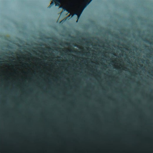 ACCA Pakistan on Instagram: "Study Hub and My Exam Performance are just two of the great ACCA support resources to help you, whatever your results. Explore now: https://www.accaglobal.com/uk/en/student/exam-entry-and-administration/exam-results/exam-performance.html"