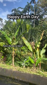 18K views · 668 reactions | Celebrar el dia de la tierra! | A Home in the Amazon | Facebook