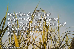 Explicación Génesis 9:18. 'Los hijos de Noé que salieron del arca fueron Sem, Cam y Jafet. Cam es el padre de Canaán.' - BibliaBendita