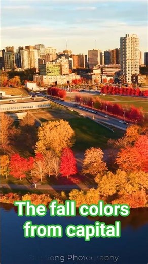 The autumn leaves-27 The magnificent late fall colors #canada #fall #travel