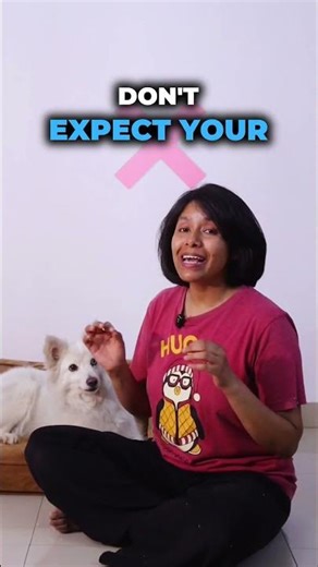 Bringing Home a Second Dog 🐾🐶🐶 | Tips for a Smooth Transition