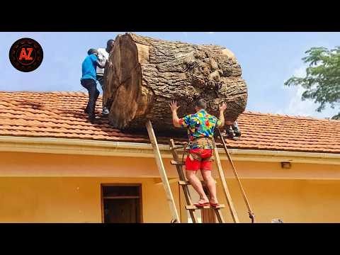 Idiots With Chainsaws: Tree Cutting Fails | Extreme Dangerous Logging Truck Fails #71