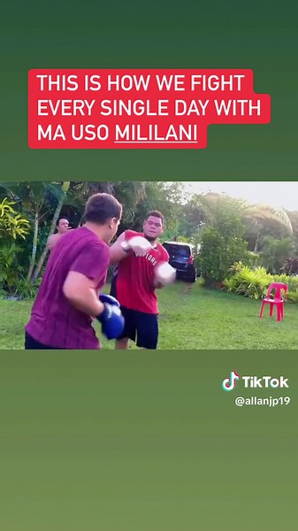 Playful Boxing Match in the Garden