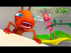 Insane in the Drain | ¡Compilaciones de Antiks en Español! | Dibujos Animados | Videos para niños