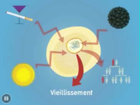 Les mécanismes de la cancérisation