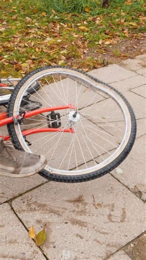 9.5K views · 24 reactions | The Power Of Friendship | Genius Panda | Facebook