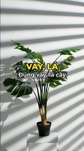 Lá Cây Màu Xanh Vì Nó... Từ Chối Ánh Sáng? 🌿🤯