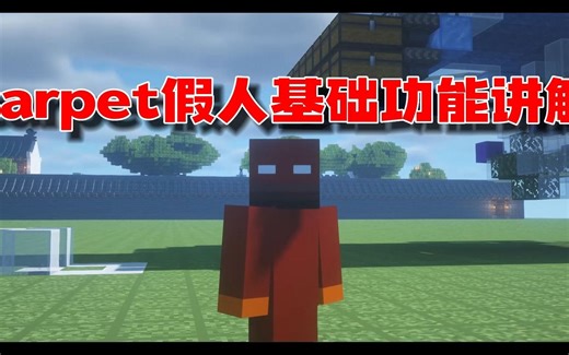 carpet假人基础指令介绍