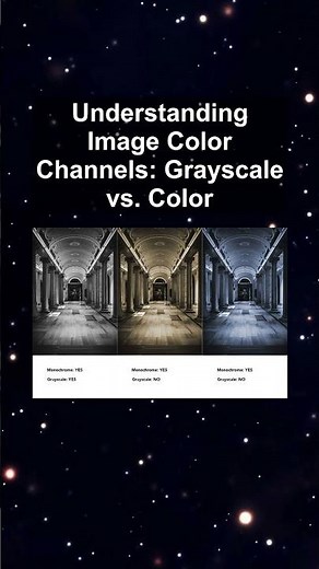 Understanding Image Color Channels: Grayscale vs. Color #ai #artificialintelligence #machinelearning