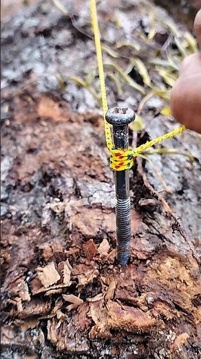 How to Tie a Trucker’s Hitch