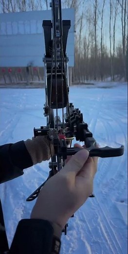 Steel ball dual-purpose hunting compound bow #archery #outdoors #hunting #bowhunting #archerylife