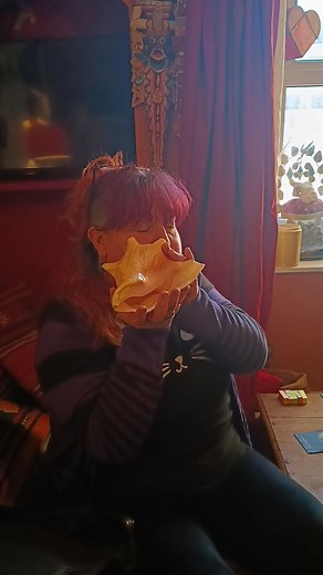 When you go and see your mate and she gets you blowing a Conch shell!! 🤣🐚 | Lisa Jenkinson