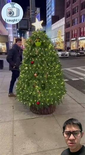 People Thought It Was a Christmas Tree… Then It MOVED 😱🎄