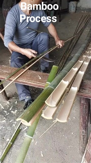 13K views · 290 reactions | Good Skill! Best Way to use Bambo Trees #bamboo #bambooforest #bamboozled #bamboosunglasses #bambooclothing #bambootoothbrush #bambooisland #bamboogrove #bambooshoots #bambootattoo #bamboohouse #bamboocharcoal #Bamboobike #bamboocotton | 4Day | Facebook
