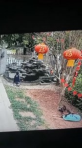 10M views · 382K reactions | What the hech did I just see? Wow!  | Architectural Engineering Discoveries | Facebook