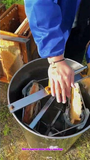 How to separate honey using a centrifuge 1