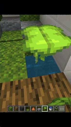 Mınecraft Frog House 🐸 #lifeisbutadream