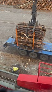 Wismar Germany Discharging Cargo Timber onto Truck | Wilfred Bellano Vlog