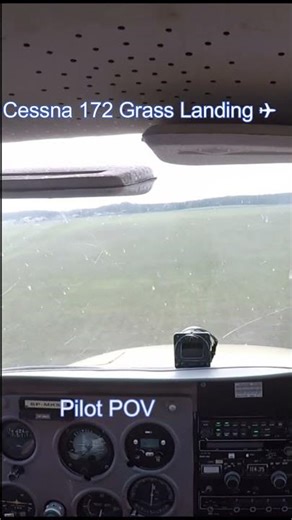 Cessna 172 Grass Runway Landing | Pilot POV
