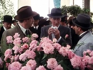 Agatha Christie's Poirot S03E01 The Mysterious Affair at Styles - Part 01