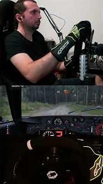 Assetto Corsa Rally Lancia Stratos Gr.4 #simrig #assettocorsarally #rally #simracing