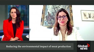 Reducing the environmental impact of meat production