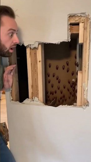 I Opened The Wall And Instantly Regretted It! #cockroaches