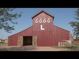 History of the 6666 Ranch Horses - Somewhere West of Wall Street episode - 2