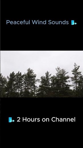 Whistling Wind Sounds 🌬️ Relaxing Nature Ambience #windsounds #relaxing #sleep #nature #cozy