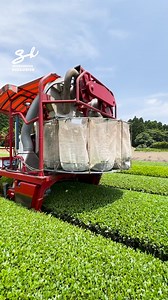 This machine is the future of tea...🍵 | Supercar Blondie