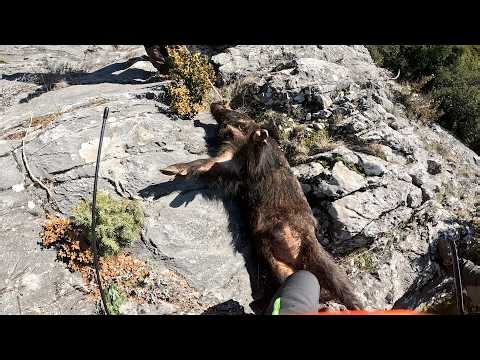 3 Βολές… και Συνέχισε | Κυνήγι Αγριογούρουνου